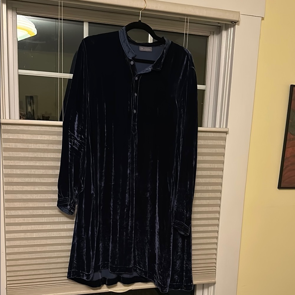CP Shades Velvet Long Sleeve Dress